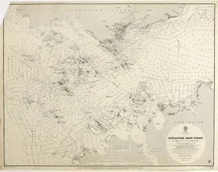 China Sea Singapore Main Strait From Tree I (pulo Angup) to Battam Bay Surveyed by Staff Commander J.W. Reed, R.N. and the officers of H.M.S. Rifleman