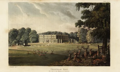 Herd of Deer in Front of Trentham Hall