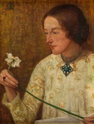 The Narcissus