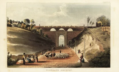 View of drovers driving cattle and sheep to Smithfield Market under the archway at Highgate Hill