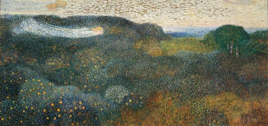 Orange Grove on the French Riviera