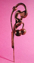 Fibula