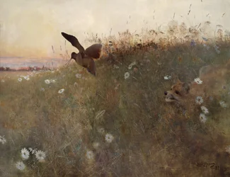 Fox and woodcock
