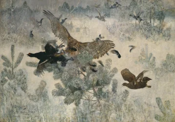 Hawk and Black Game