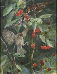 Sparrows in a Cherry Tree