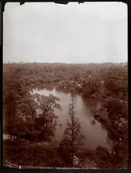 View of Central Park from the 4th Floor of the Plaza Hotel, 5th Avenue and 59th Street, 1907