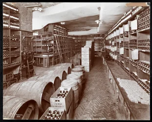 Wine cellar at the Hotel Knickerbocker, 1906