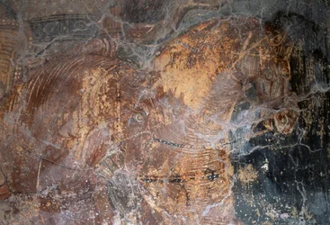 Horse, (detail)