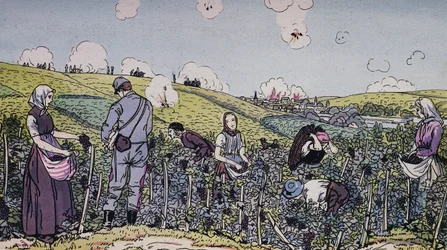 Our Winegrowers Harvested Under Fire, the Harvest in the Champagne Region in 1914