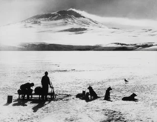 South Pole expedition by Robert Falcon Scott (1868-1912), explorers before Erebus volcano on Ross island, January 15