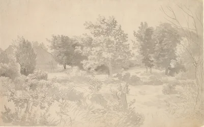 An Enclosure with Trees
