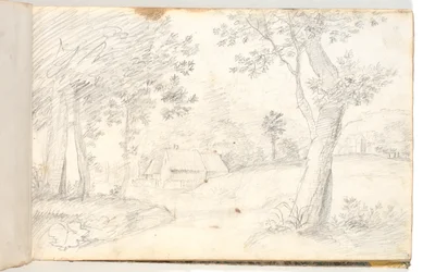 Landscape, After a Graphic Template?