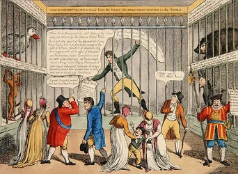 A New Cure for Jackobinism or a Peep in the Tower