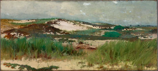 Nantucket Sand Dune