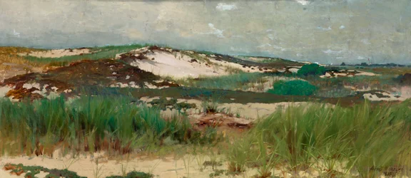 Nantucket Sand Dune, ca. 1890