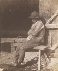 Seated Lad