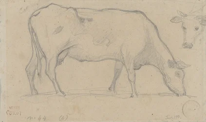 Grazing Cow, with Another Cow