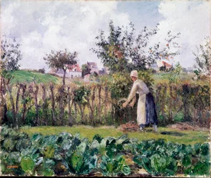 In the garden