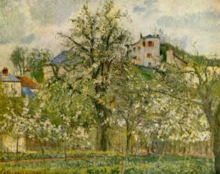 Kitchen-Garden with Flowering Fruit-Trees