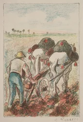 La Charrue, 1901