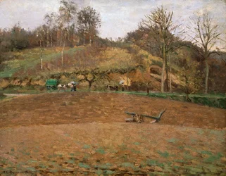 Ploughland, 1874