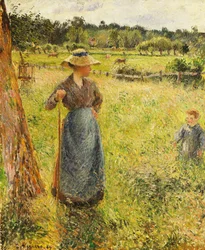 The Haymaker