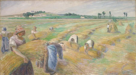 Harvest