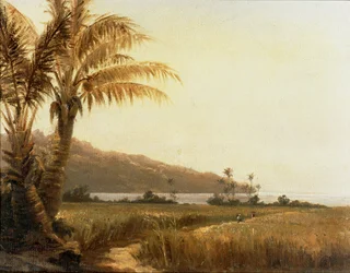 Coconut palms by the sea, Saint Thomas, Antilles