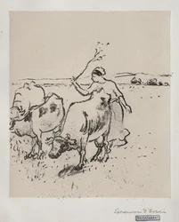 Cowherder