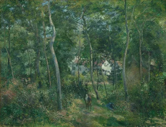 Edge of the Woods Near L