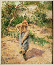 Farmwoman Digging in Orchard