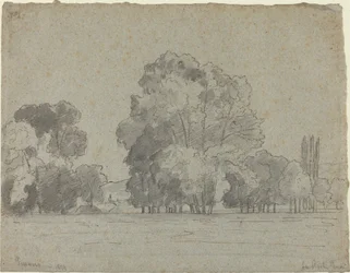 Grove of Trees