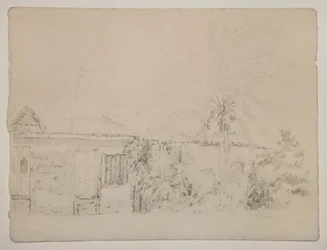 Houses and Palm Trees