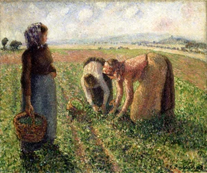 Pea Harvest, Eragny, 1893