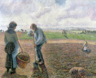Peasants in the Field, Eragny