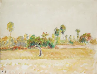 Study of the Orchard at Eragny-sur-Epte, Seen from the Artist