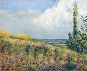 The Approaching Storm