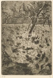 The Cabbage Field, c. 1880