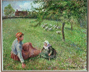 The Geese Pasture
