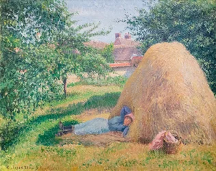 The Siesta