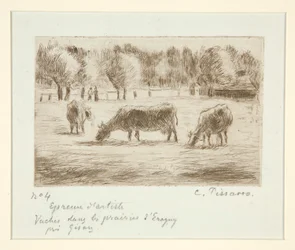 Cows in the Meadows