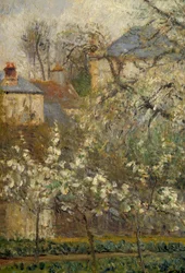 Vegetable garden and trees in bloom in spring in Pontoise