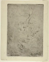 Woman in the Kitchen Garden