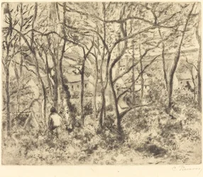 Wooded Landscape at L