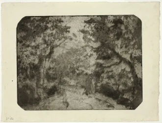 Wooded Lane at Pontoise