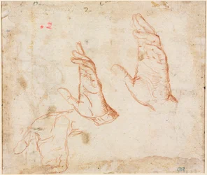 Study of Hands (verso)