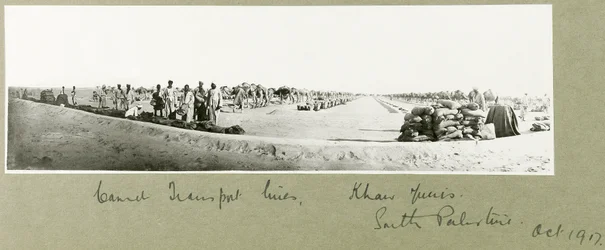 Camel Transport Lines, Khan Yunis, October 1917
