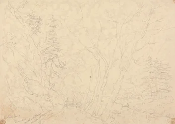Holne Chase, 30 May 1833