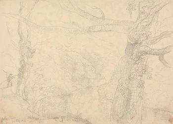 Holne Chase, 30 May 1833