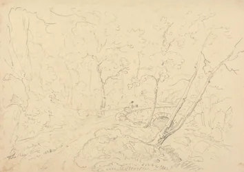Holne Chase Bridge and River, 30 May 1833